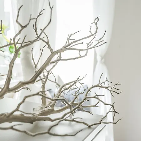 Bpr Stylish Mosaic With Terrace *